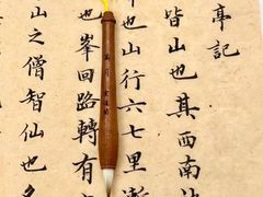 -学知乐教育·幼小衔接·小学科辅导(嘉定镇校区)