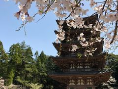 -醍醐寺