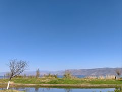 -洱海月湿地公园