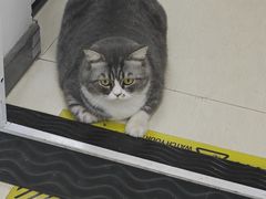 -联合动物医院(光谷诊疗中心)