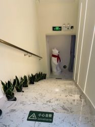 -海涛医疗美容·面部抗衰·注射美鼻