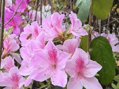 -贵阳市花溪国家城市湿地公园
