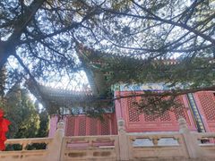 -龙口南山旅游景区