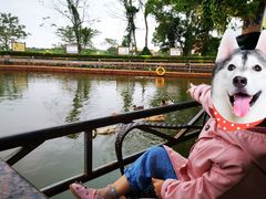 -侯臣咖啡文化村