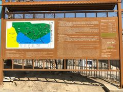 -北京鹫峰国家森林公园