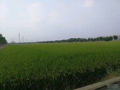 -嘉北郊野公园