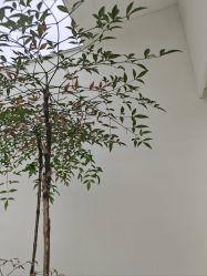 -HEYAN荷妍专业脱毛连锁机构