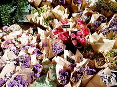 -The Grounds of Alexandria