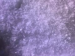 -雪谷