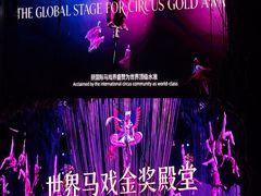 -广州长隆国际大马戏