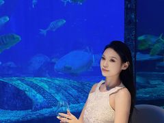 -亚特兰蒂斯•OSSIANO奥西亚诺海底餐厅