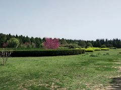 -秦始皇帝陵博物院-丽山园