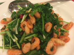 -月亮河温泉度假酒店