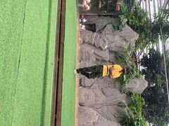 -呀路古热带植物园