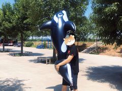 -海盗传奇水世界