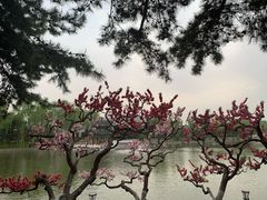 -钓鱼台国宾馆