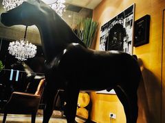 -苏浙总会(国金中心店)