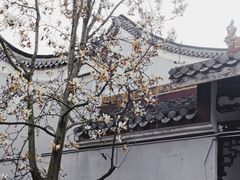 -南岳衡山风景名胜区-南岳大庙