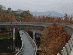 -福道