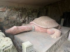 -上海佘山国家森林公园天马山园