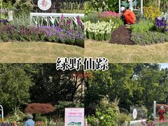 -常熟路(地铁站)