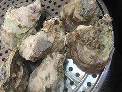 -蚝专家(北滘店)