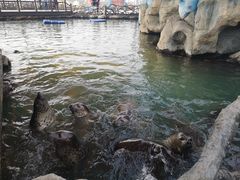 -华夏文旅海洋公园