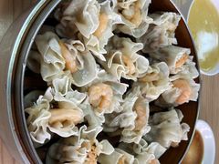 -白记饺子馆多伦道店