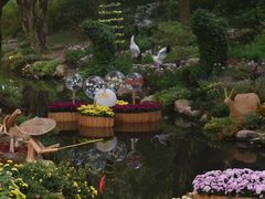 -上海共青森林公园