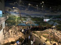 -自贡恐龙博物馆