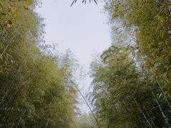 -南京市无想山景区