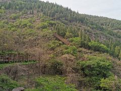 -黄花溪