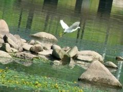 -九里河湿地公园