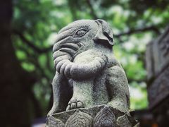 -普陀山风景名胜区-法雨禅寺