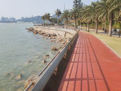 -野狸岛