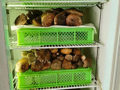 -山菌美食苑(振兴路店)