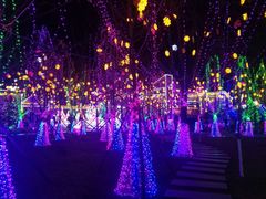 景点-雁滩公园