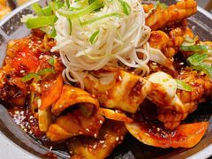 炒鱿鱼-姜虎东白丁烤肉(虹桥天地店)