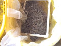 -红海湾豪记海鲜大排档