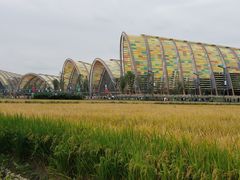 -中国天府农业博览园