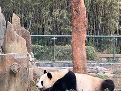 -宁波野生动物园
