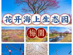 -花开海上生态园