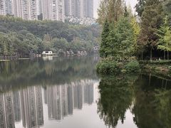 -重庆彩云湖湿地公园