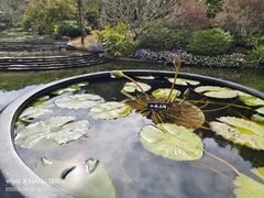 -云溪植物园