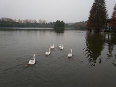 -浙江农林大学(东湖校区)