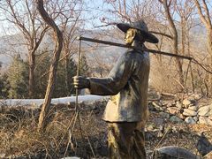 -阳台山自然风景区