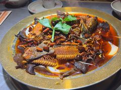 -吃城都·鱼蛙火锅(西玉龙街店)