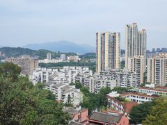 -福道
