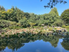 -杭州植物园