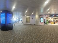-上海浦东国际机场-T2航站楼